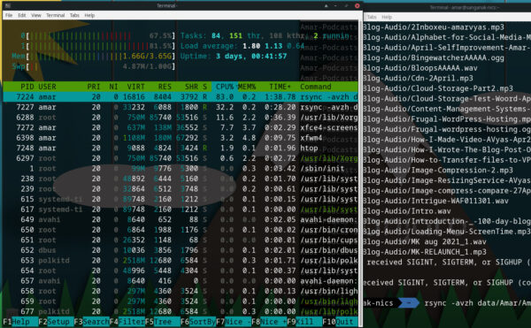 Linux Process Management using htop